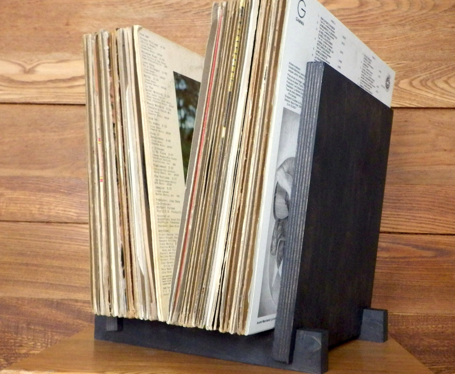Vinyl LP Record Storage Display Holds 40 x 12 Albums