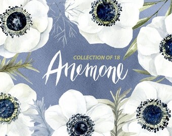 Watercolor flower clipart: 18 white anemone, Aquarelle Digital Clip Art, watercolour boho floral clipart