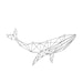 whale geometric drawing