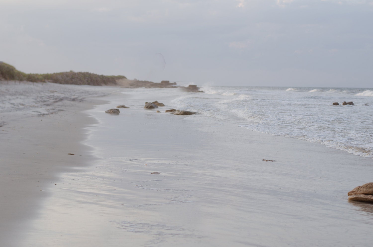 Beach and Ocean Digital Backdrop