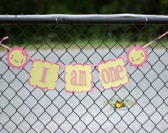 Little Sunshine Banner, Little Sunshine Highchair Banner, Little Sunshine I am one Banner