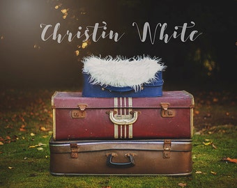 Digital Backdrop,Newborn Photography, Digital background, Instant download, Newborn Baby suitcase in nature