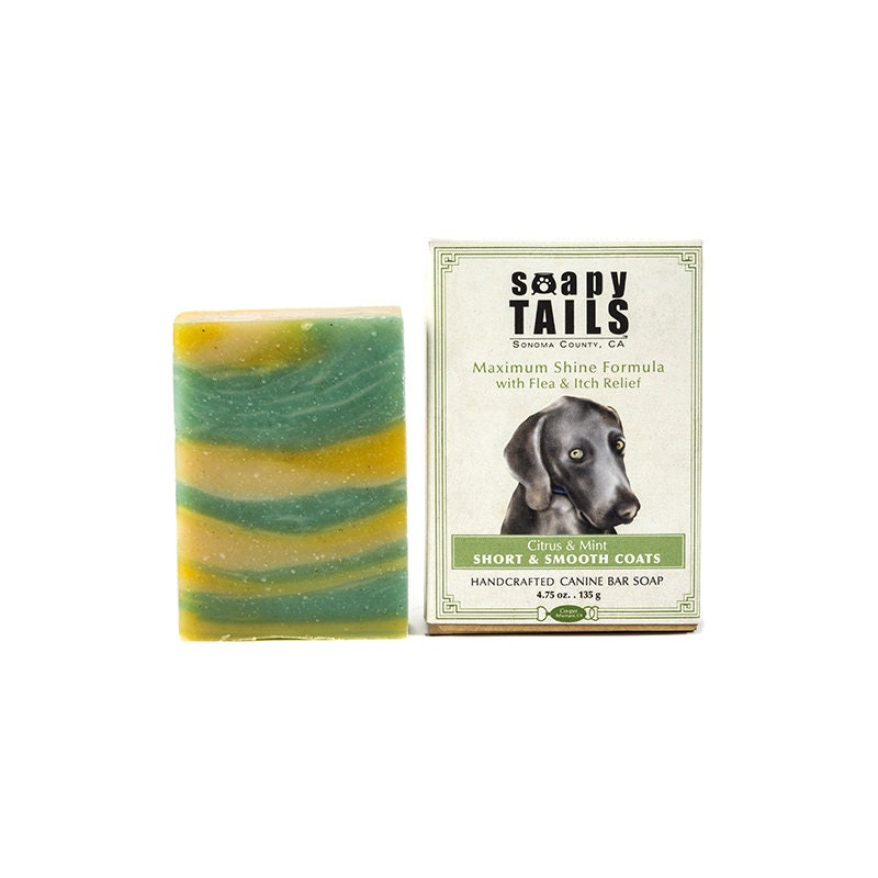 Soapy Tails Short and Smooth Coat Citrus & Mint 4.75 oz.