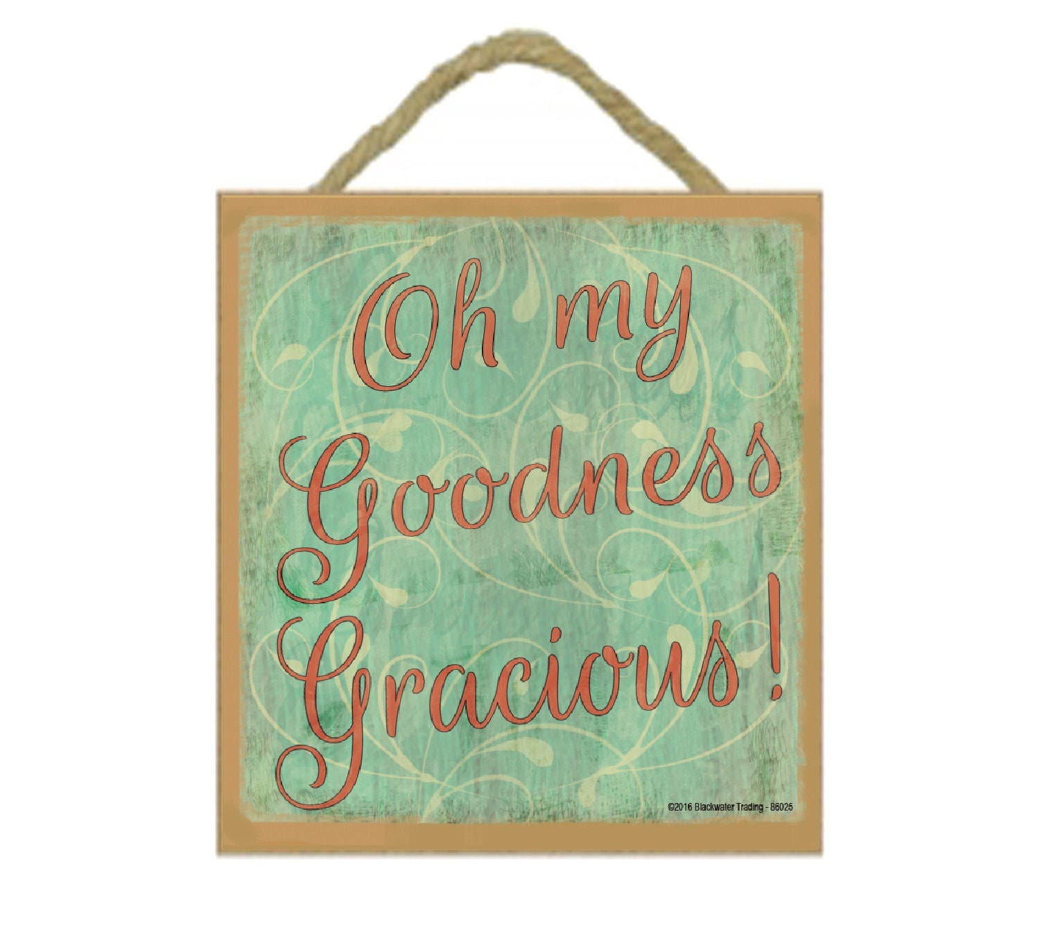 Oh My Goodness Gracious Southern Style Sign Plaque