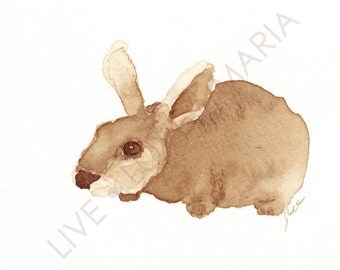 Baby Coffee Kangaroo - 5.5 x 4.5 original paining