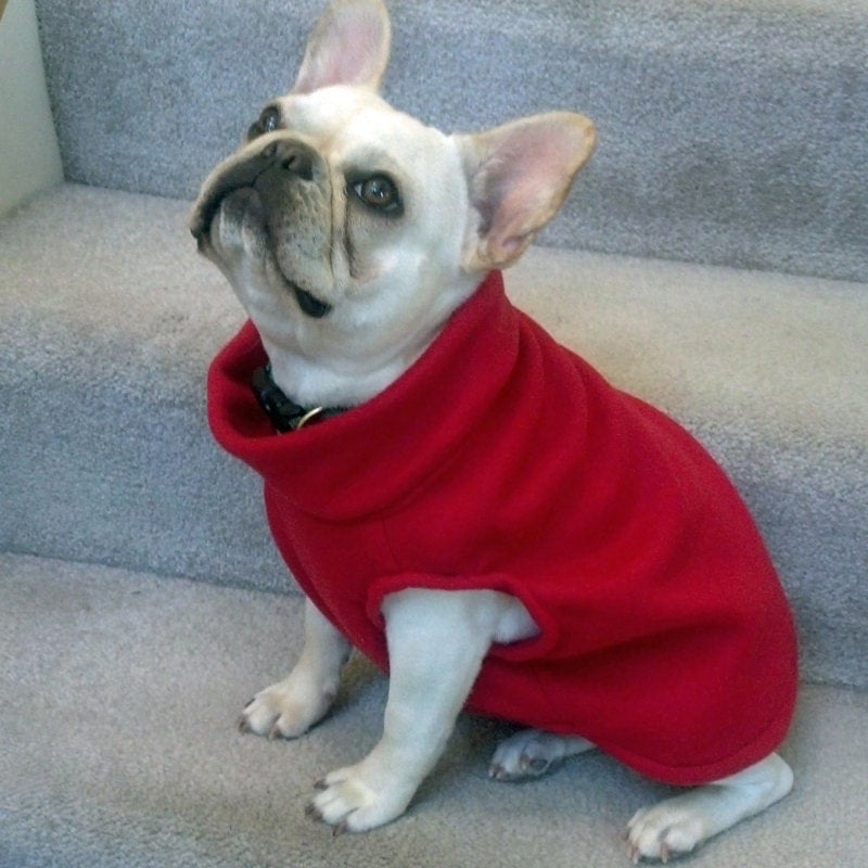 Clothing for French Bulldogs by TheFabFrenchie on Etsy