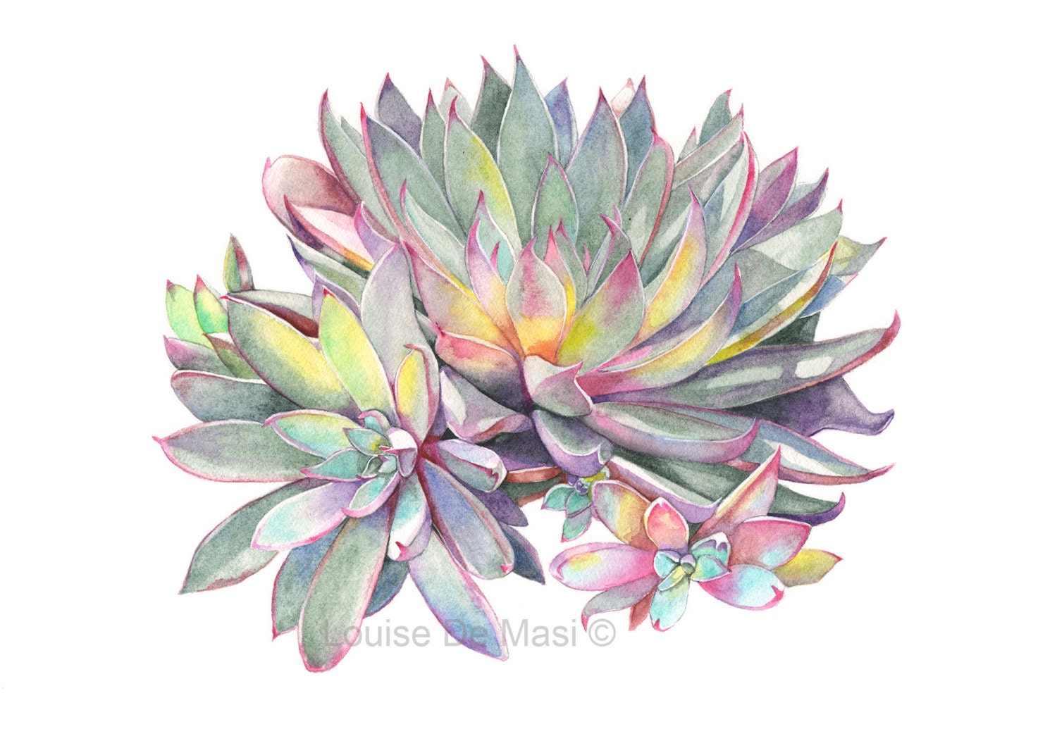 Succulent Print of watercolour painting S0316 A4 size