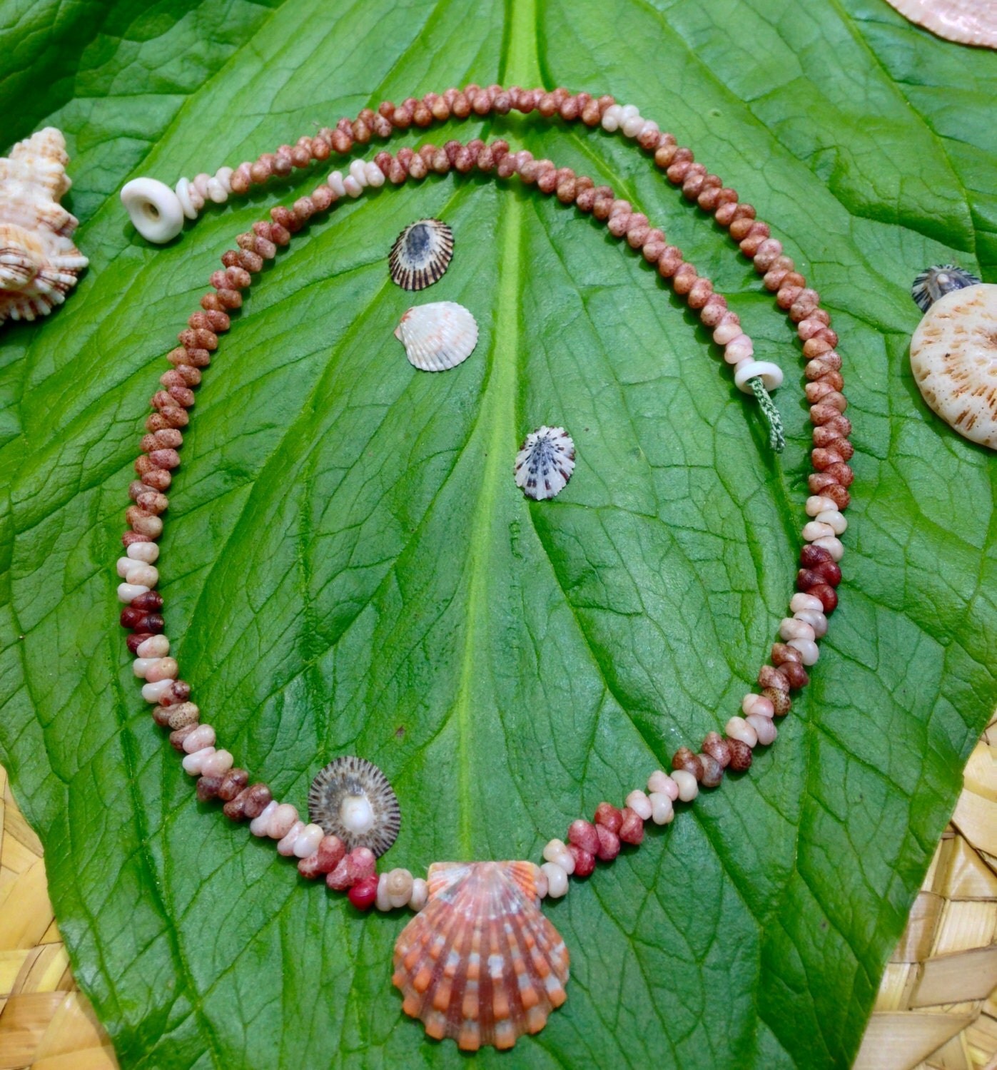 Sunrise Shell Necklace Lei Kauai Hawaii Shells Beach Jewelry