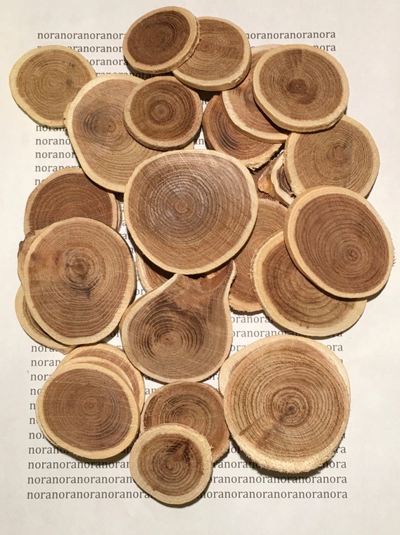 29 pack natural wood rounds wood discs crafts by NoraDaughter