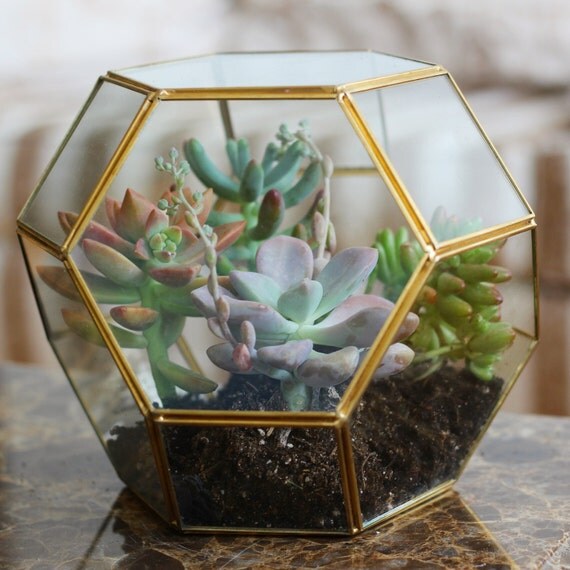 Gold Geometric Terrarium by TheJuicyCreations on Etsy