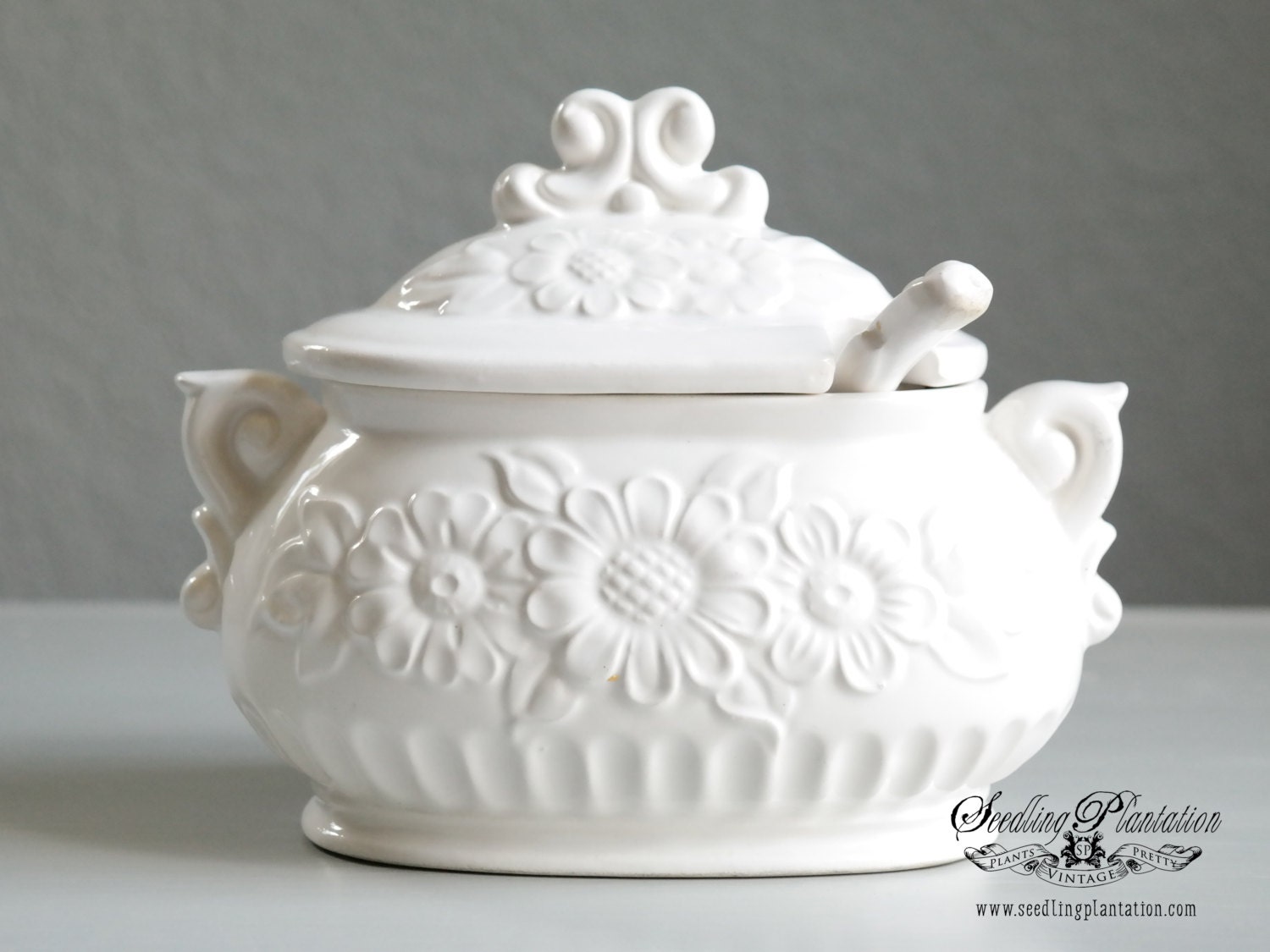 Vintage Gravy Bowl Soup Tureen with Ladle Covered Serving