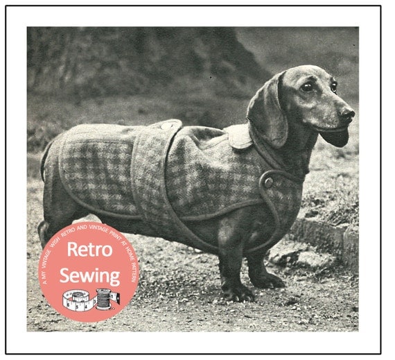 Dachshund Dog Coat Sewing Pattern PDF Sewing Pattern