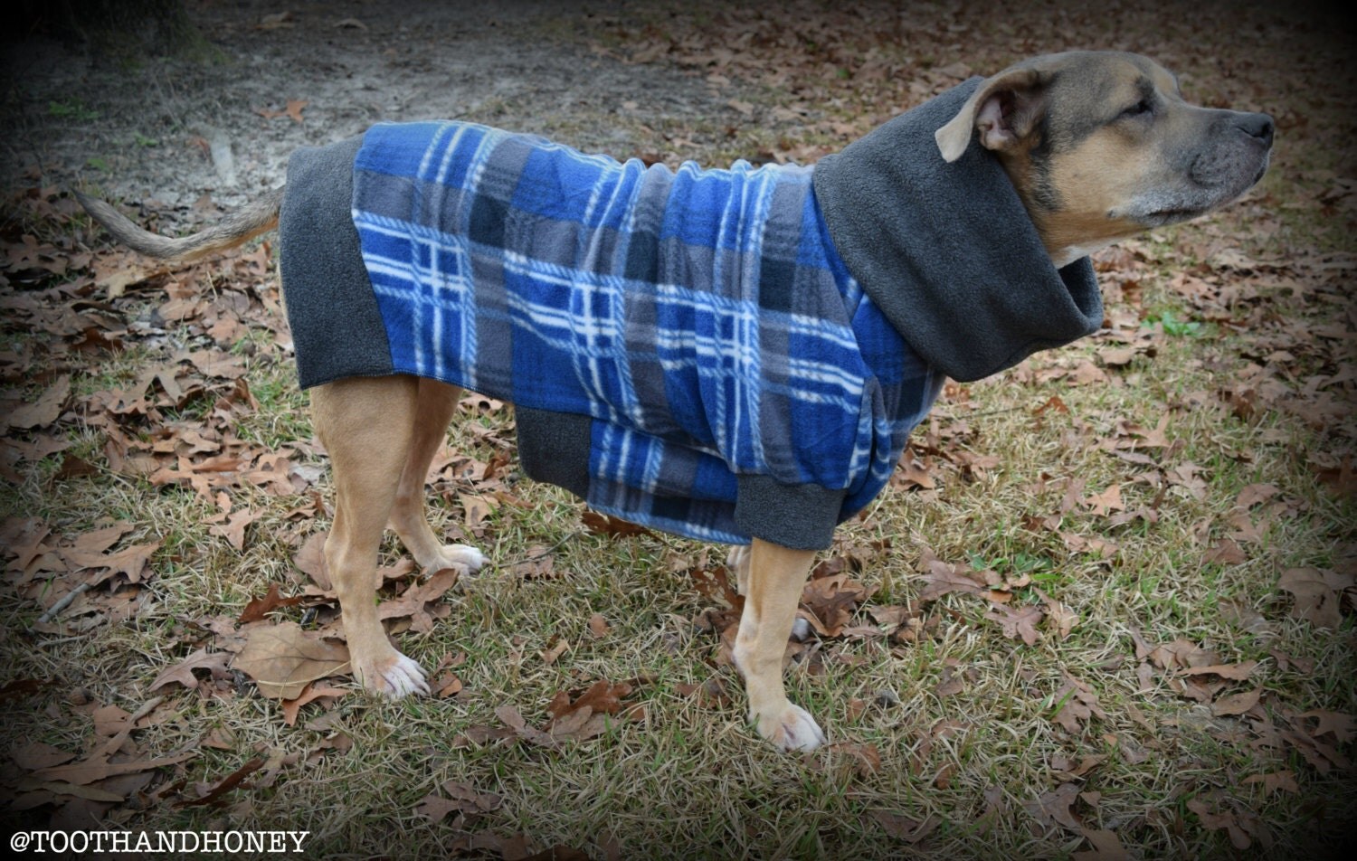 LARGE DOG JACKET /coat/pitbull/large breed/male/ blue grey