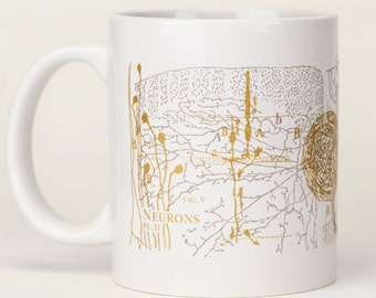 Neurons Mug | Brain Anatomy Ceramic Coffee Mug, Anatomical Brain, Neuroscience, Nursing, Greys Anatomy, Nurse, Nursing, Teacher Gift Vintage