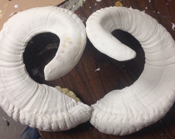 Ram Replica Horns
