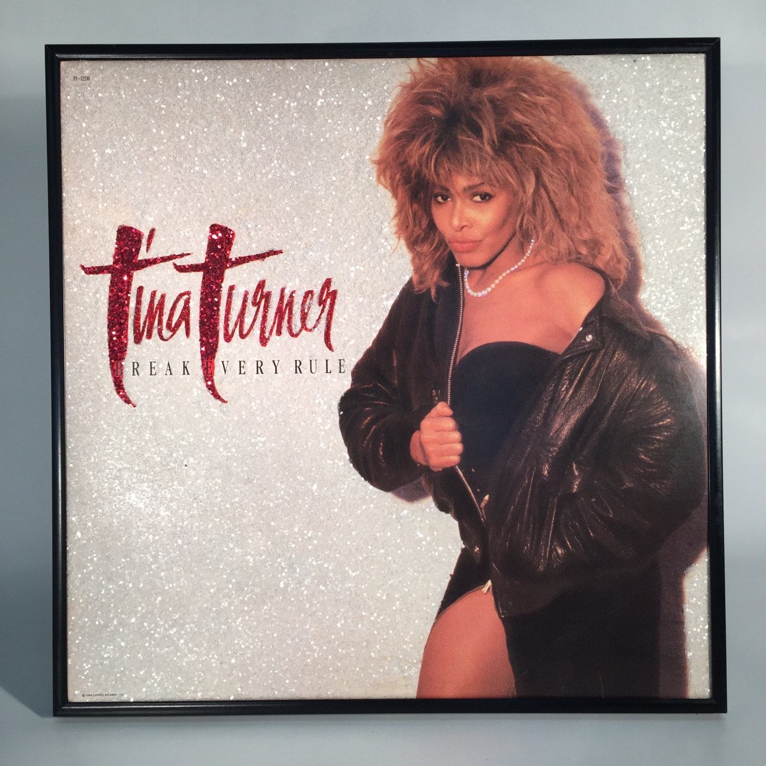 Vintage TINA TURNER Break Every Rule Glittered Album Record