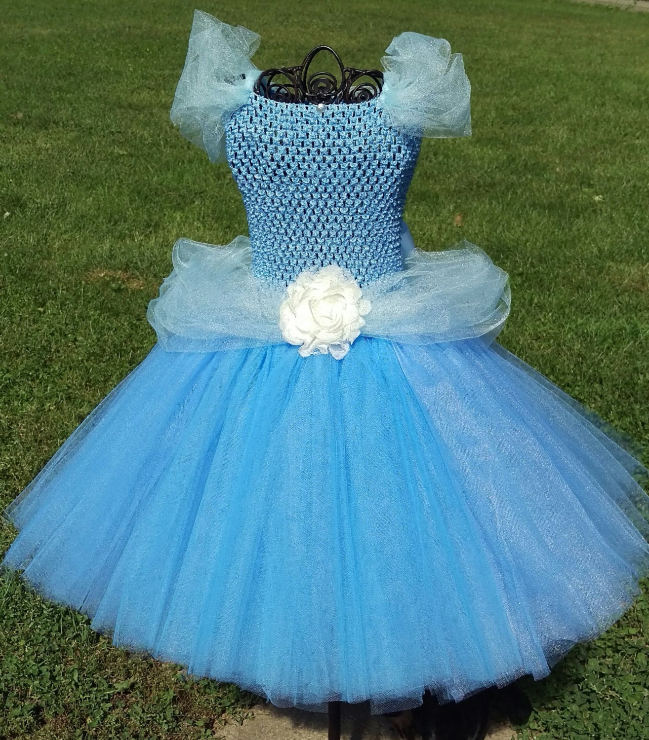 Cinderella Tutu dress