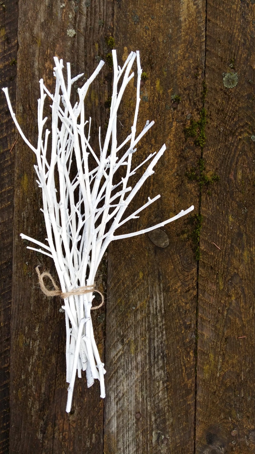 white twigs birch branches hand painted natural twigs vase