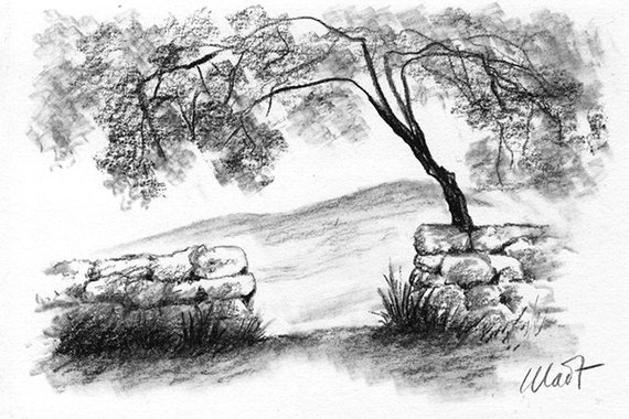 Original charcoal pencil sketch 6 x 4 nature