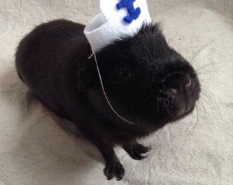 Sailor Hat For Guinea Pigs
