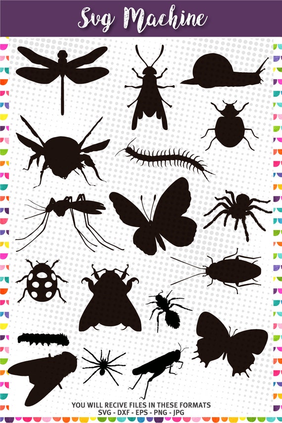 Download Bugs SVG, Cute Insect - Cutting Templates - Garden Animals ...