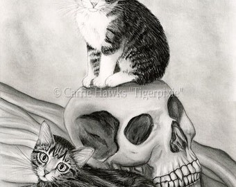 Witch's Cat Art Tabby Kittens Drawing Cats Vampire Skull Cat Drawing Gothic Fantasy Cat Art Print 8x10 Cat Lovers Art