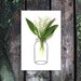 floral art, print set of 4, lily of the valley, lily photography, hyacinth, red clover, botanical art, illustration photo, garden home decor