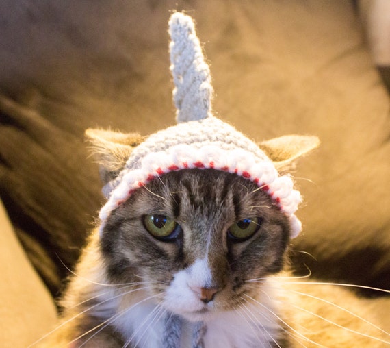  Shark  Costume  Hat for Cats  Ready To Ship Crochet Cat  Hat