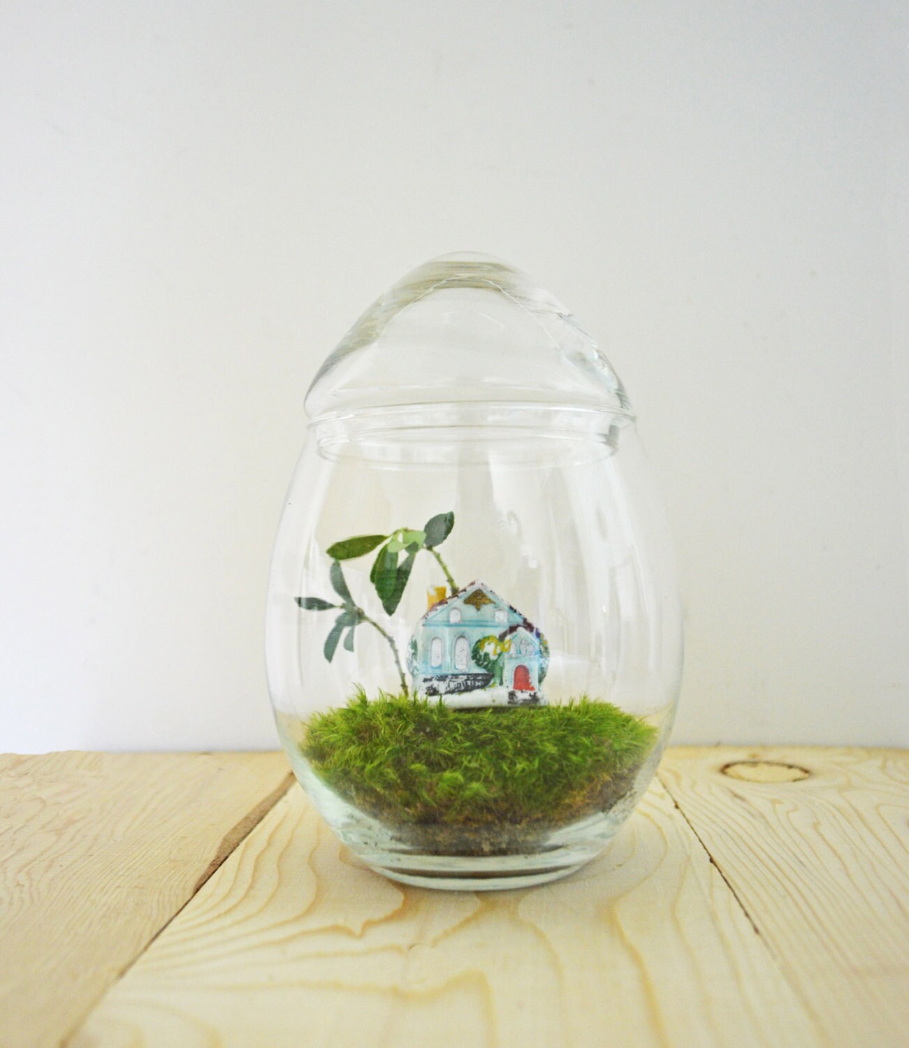 On Sale...Vintage Terrarium with House // Egg Terrarium Kit