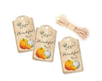 Thanksgiving Tags, Fall Wedding Favor Tags, Mason Jar Tags, Pumpkin Hang Tags, Bridal Shower, Thanksgiving Decor, Gift Packaging, Set of 10