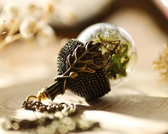 Real moss acorn necklace, dried plant necklace , acorn locket , gift from Ireland , terrarium jewellery , woodland terrarium #C12