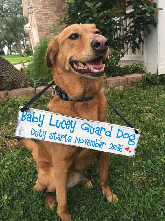 Pregnancy Announcement Expecting Sign Baby Guard Dog Sign