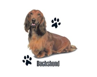 Dachshund T SHIRT Long Haired Red Dachshund (Sweatshirt, Quilt Fabric Block, Tote Bag, Apron, Hoodie, Pillowcase Available On Request) 836