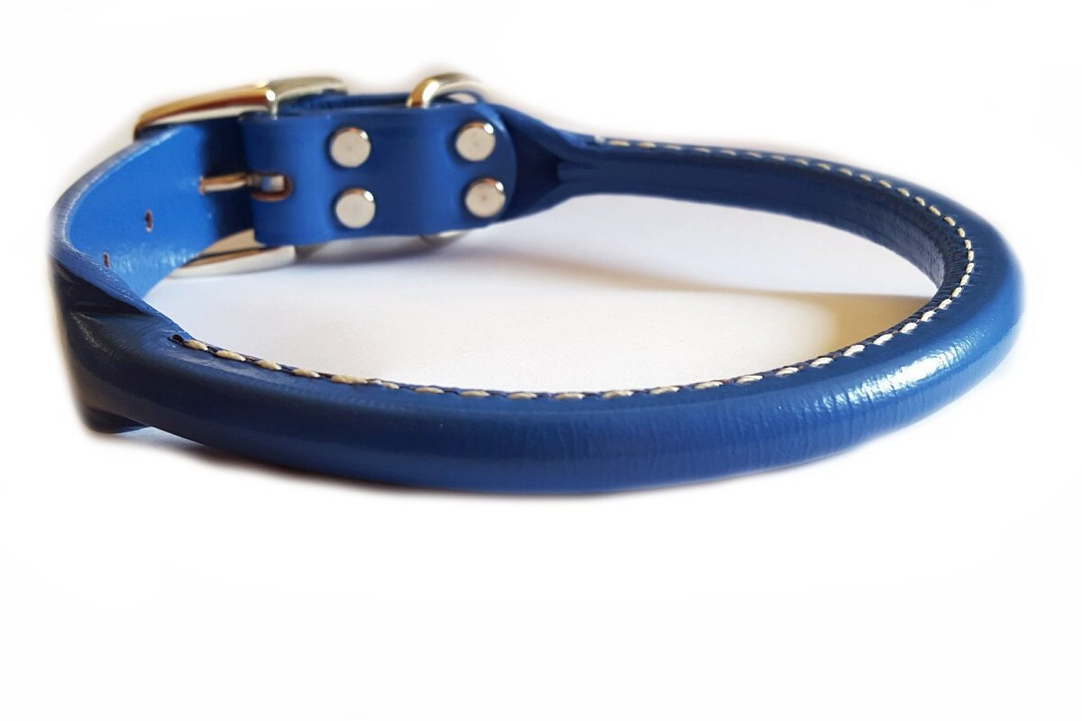 Blue Leather Dog Collar
 Rolled Blue Leather Dog Collar by SnootyPoochDesigns on Etsy