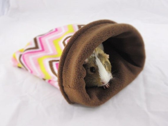 snuggle safe for guinea pigs