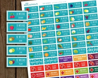 Pregnancy Planner Stickers | PRINTABLE Instant Download | DIY Baby Banners | Baby is the size of | Maternity Countdown | Pregnancy Trackers
