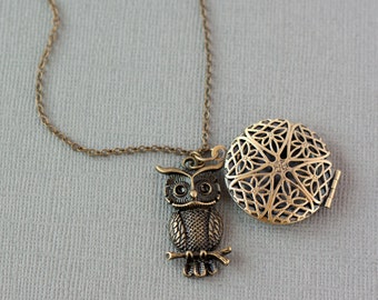 Essential Oil Diffuser Necklace, Owl Necklace, Aromatherapy Jewelry, Essential Oil Necklace, Oil Locket, Owl Diffuser Locket, Oil Pendant