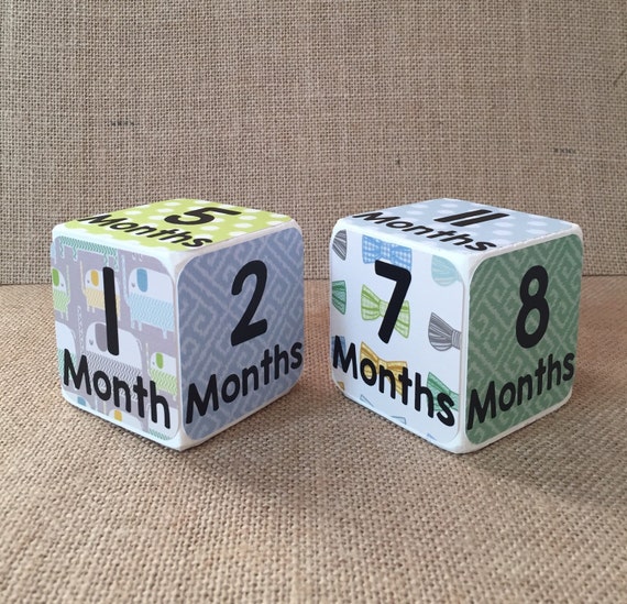 Baby Monthly Milestone Blocks Wooden Block Month by Month