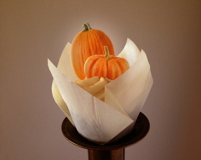 Double-Sided Edible Wafer Paper Pumpkins for Cakes, Cupcakes or Cookies