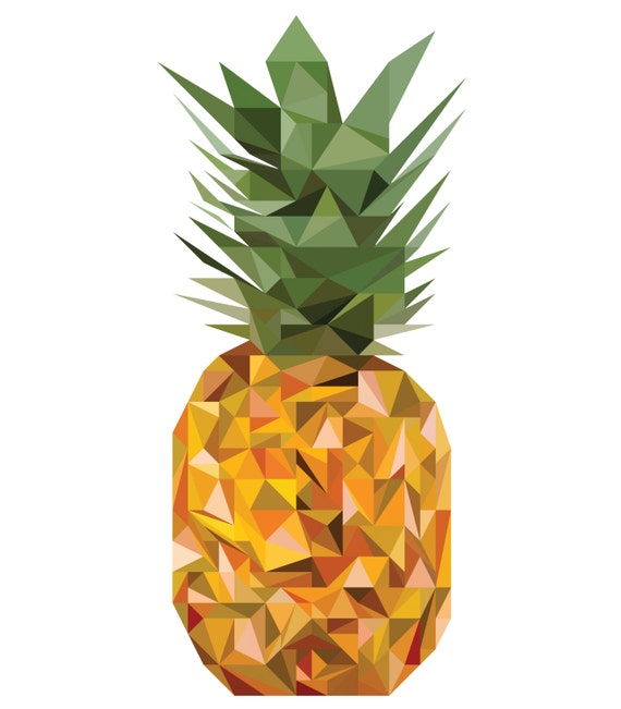 geometric pineapple drawing