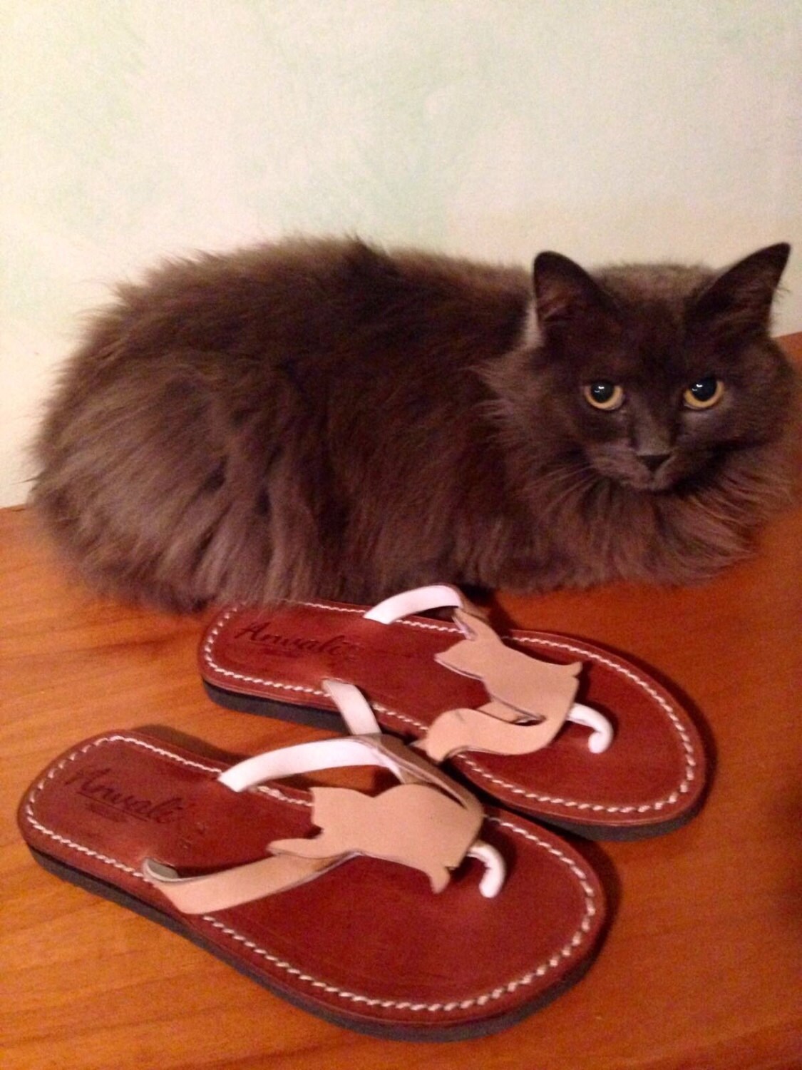 flip flops for cats