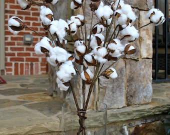 Cotton Stems~Cotton Boll~30" Stem~Rustic Wedding-Barnwood~Rustic Cotton Branches~Rustic decor~farmhouse decor~fixer upper style~country chic