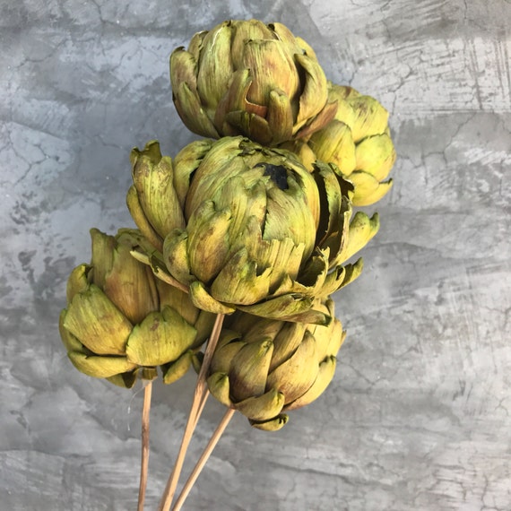 Dried Artichoke stems Dried Flowers Wedding flowers Home