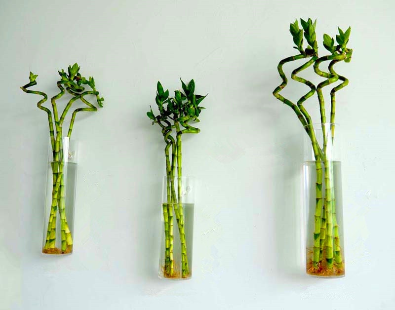 Set of 3 wall glass vase//cylindrical glass wall