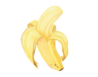 Banana - Watercolour Food Illustration Print