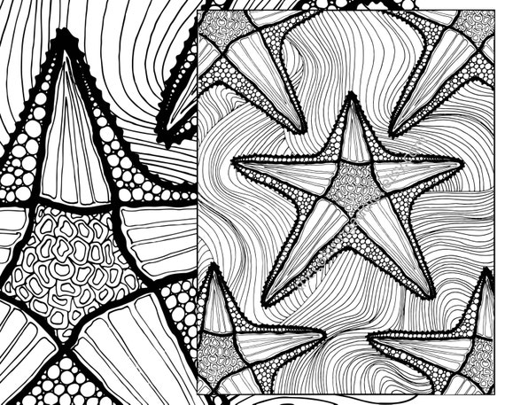 Download zentangle starfish adult coloring page adult coloring sheet