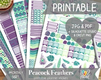 Peacock Feathers Printable Planner Stickers, Erin Condren Planner Stickers, Monthly Planner Stickers, Feathers Stickers, SILHOUETTE/ CRICUT