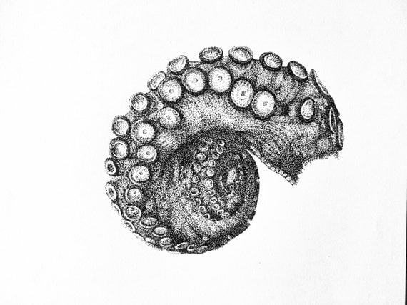 Items similar to Octopus Tentacle Art Print– Pen and Ink Drawing ...