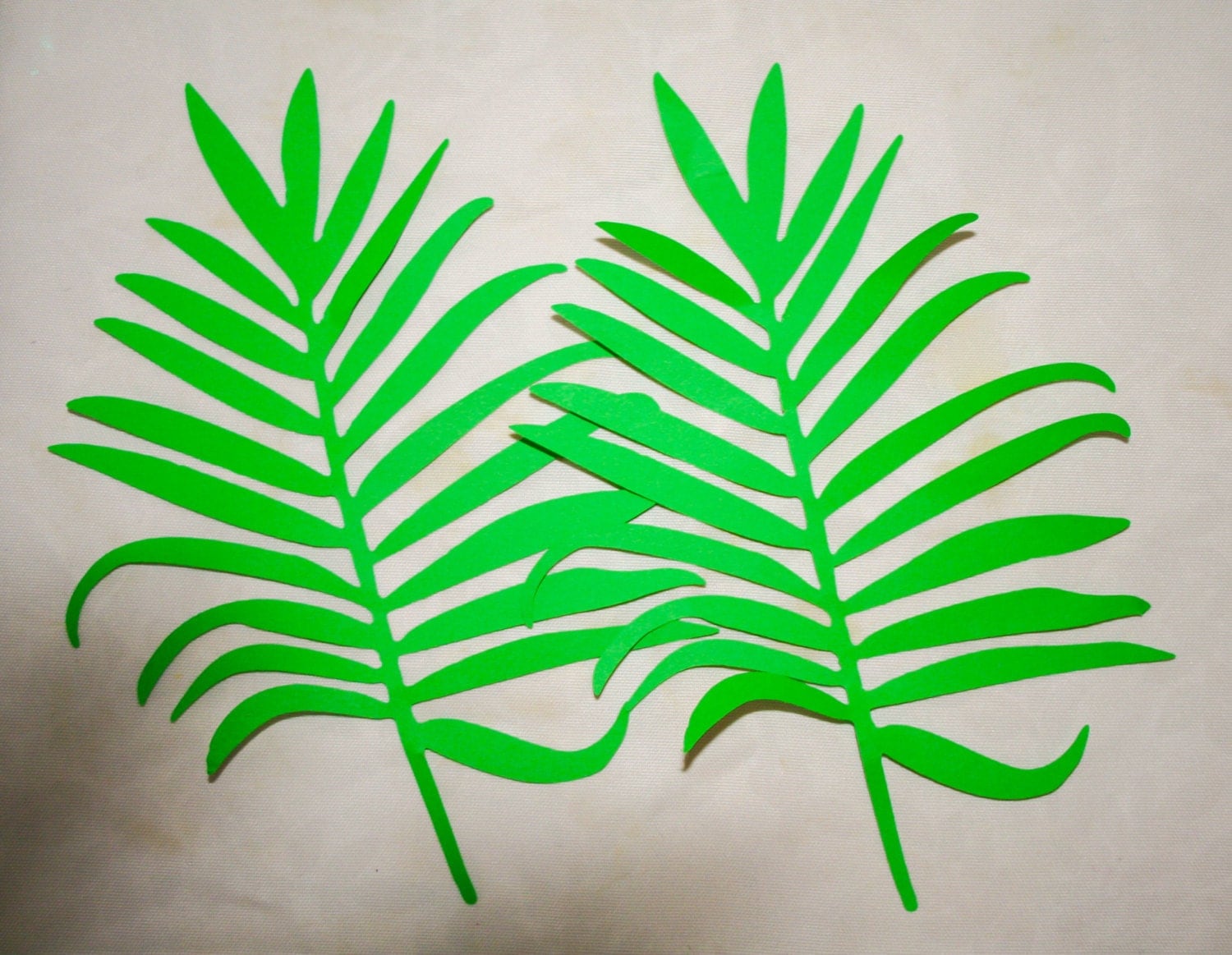 Printable Palm Leaves Templates PDF File