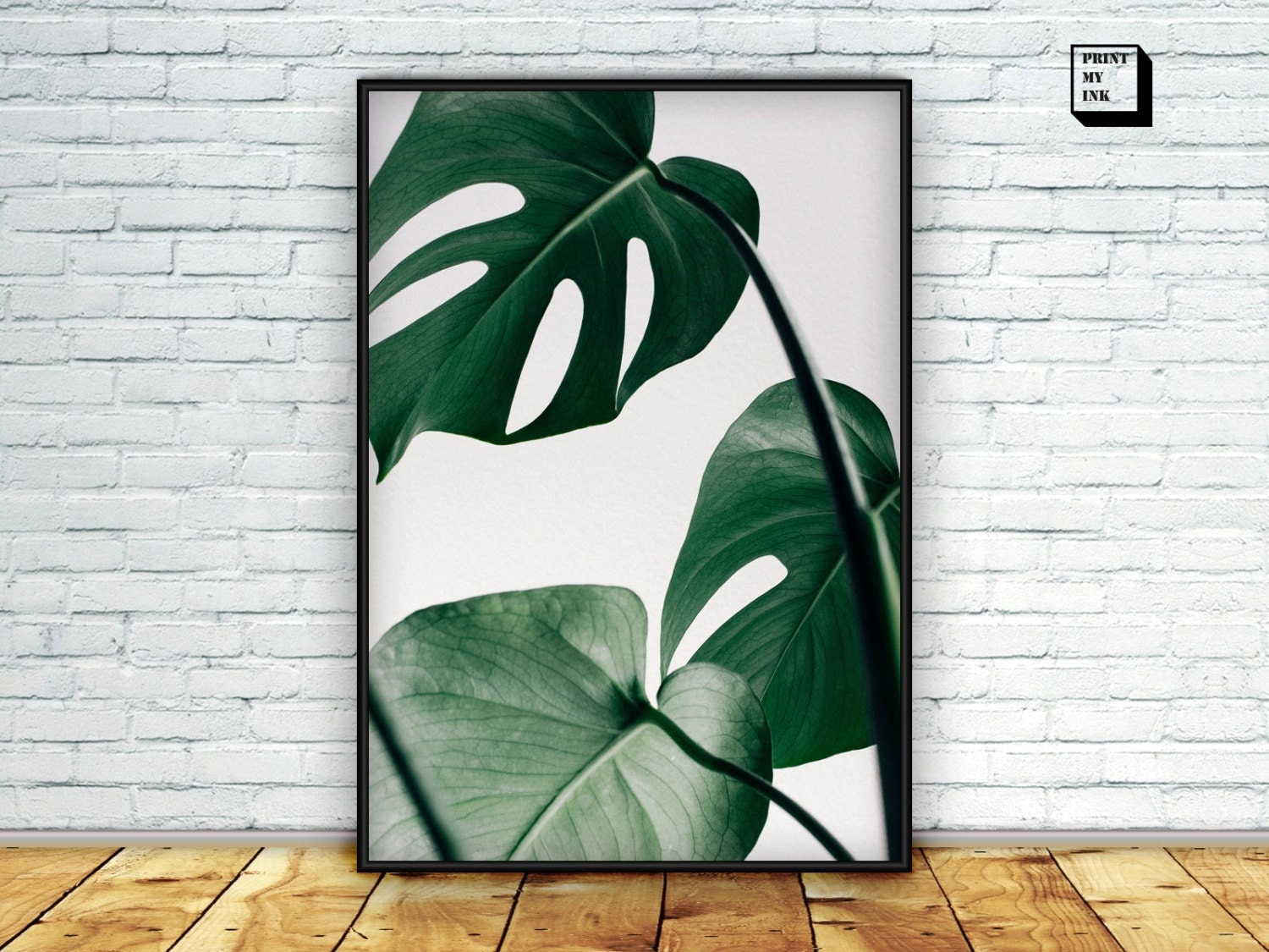 Tropical plant print tropical wall art monstera photography